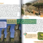 14729595307 1650145096