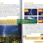 14729598319 1650145096