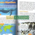 14824673766 1650145096