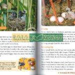 14824706103 1650145096