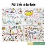 Tranh sơ đồ tư duy Mind Map11 chủ đề 1 2 2