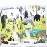 Sách 1000 Useful words - Sách học từ vựng tiếng Anh cho bé 7 20200728 010143 01 min scaled