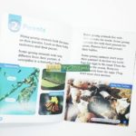 Bộ In 10 cuốn Oxford Read and Discover level 1 - Tặng Kèm FIle nghe 1 20200815 124025 01 min scaled