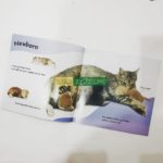 Bộ See How They Grow - Truyện về vòng đời các con vật - 14 Cuốn ( Kèm File Nghe) 5 20200820 141302 01 min scaled