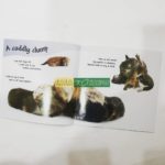 Bộ See How They Grow - Truyện về vòng đời các con vật - 14 Cuốn ( Kèm File Nghe) 7 See How They Grow-lalabookshop