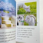 Bộ Sách Razkids In Gộp Level H - Trọn Bộ 81 Truyện ( Kèm Audio Và Quiz ) 1 20220315 113613068 ios