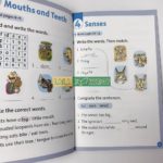 22416585764 1650145096