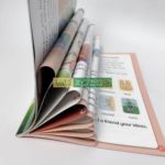 22416735156 1650145096