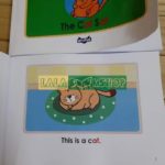 Little fox - Word Families -lalabookshop