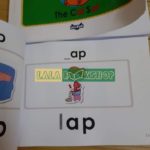 56795485 2288351834826926 3223207397543641088 n