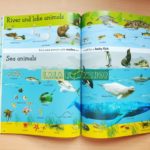Sách 1000 Useful words - Sách học từ vựng tiếng Anh cho bé 2 db50b82f1975e52bbc64 min 1