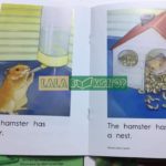 Sách Nhập Khẩu Razkids - Level A In Rời 100 Cuốn (kèm file nghe) 4 fb img 1604373995797