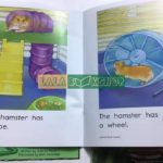 Sách Nhập Khẩu Razkids - Level A In Rời 100 Cuốn (kèm file nghe) 3 fb img 1604373997853