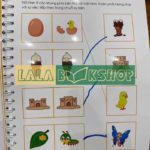 Sách Sequence 2 fb img 1605780788536 2