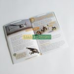 Bộ In 10 cuốn Oxford Read and Discover level 5 - Tặng Kèm FIle nghe 4 img 20200908 144916 01 scaled