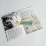 Bộ In 10 cuốn Oxford Read and Discover level 2 - Tặng Kèm FIle nghe 10 Read and discover 6-lalabookshop