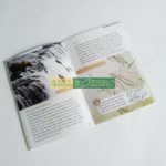 Bộ In 10 cuốn Oxford Read and Discover level 5 - Tặng Kèm FIle nghe 1 img 20200908 144958 01 scaled