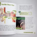 o1cn01wneeea22wfmva6fle 6000000007128 0 cib