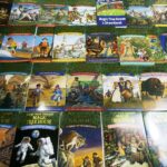 Sách Nhập Khẩu Bộ truyện MAGIC TREE HOUSE -38 cuốn ( Kèm Audio) 4 MAGIC TREE HOUSE