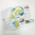 Hình ảnh bộ sách