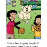 Hình ảnh bộ sách