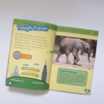 Bộ sách Bộ sách National Geographic level 3 ( sách nhập khẩu) - Bộ 38 cuốn Kèm File Nghe 5 20210126 124423 scaled