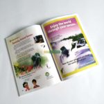 Sách Explore Our World level 3 ( Student Book và Work Book) 8 Hình ảnh bộ sách