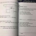 118156610 1966977960276003 251040917002857073 njpeg