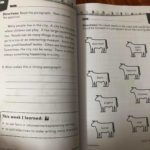 Bộ sách Level 2 180 days - 7 cuốn 2 139545598 1103992736729100 8502948927890866583 o