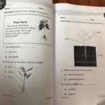 Bộ sách Level K bộ 180 days -5 cuốn 16 140608713 1103990243396016 8798600782582800225 o