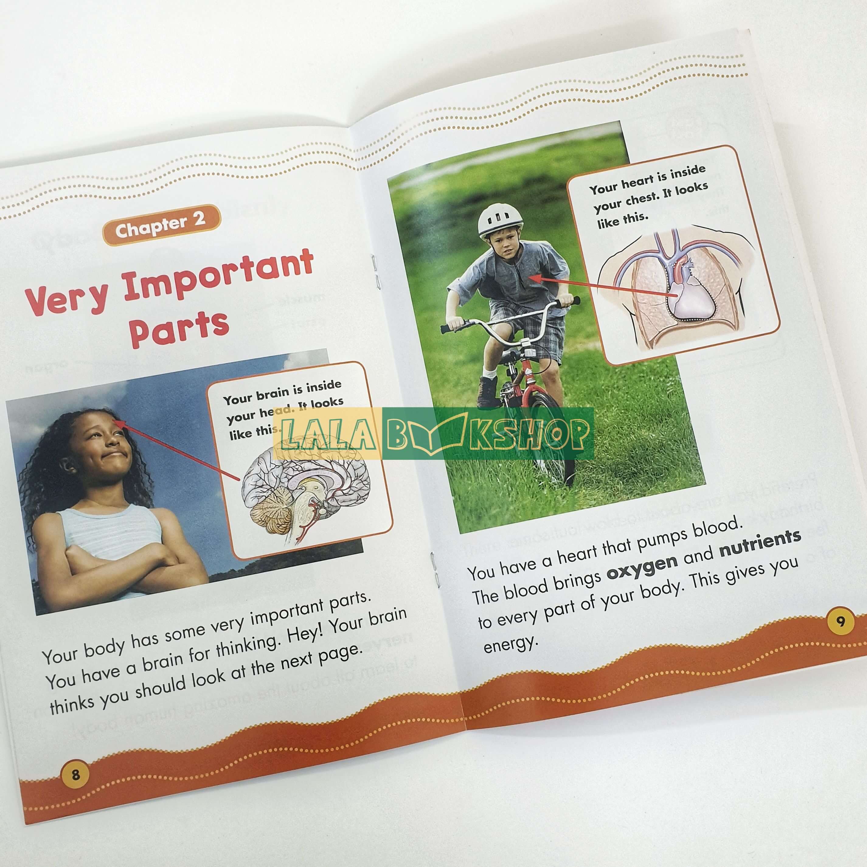 Hình ảnh bộ sách Science Vocab Reader