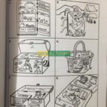 Bộ sách Analogy (Logic mầm non) -5 cuốn 9 86460035 845782742550102 7835131163885699072 o