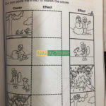 Bộ sách Analogy (Logic mầm non) -5 cuốn 13 86801602 845782712550105 529504875583635456 o