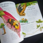 Bộ sách tự hỏi vì sao I Wonder Why ( sách nhập khẩu - 25 cuốn ) 2 06fa96beff9d0dc3548c21