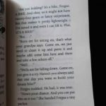 Bộ sách Flying Fergus -10 cuốn 1 118328198 3614179748601493 5281112426437240268 n