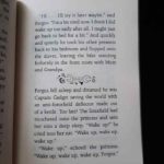 Bộ sách Flying Fergus -10 cuốn 4 118540763 3614179615268173 5583493916294181729 n