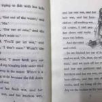 124547079 3836835266335939 664834192696079313 n