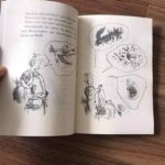 Bộ truyện Roald Dahl - 16 cuốn ( Sách In) 8 159462492 4164425990243530 28247364542421922 n