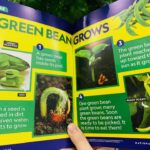 170225077 782857369283584 1056427548876501824 n