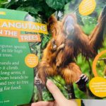 170602474 782857399283581 3854598093578842433 n