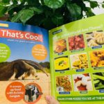 170843429 782857302616924 8003311573404595890 n