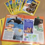 171254189 782857179283603 6082625243601075464 n