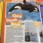 171747692 782857429283578 7533454509294789267 n