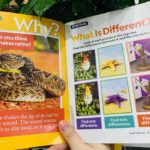 171766631 782857255950262 3771572518001127122 n