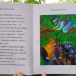 172453460 2407564302723656 5435076091565274598 n