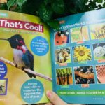 173820404 782857475950240 5650286965952881964 n