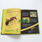 Bộ sách Usborne Beginners Nature Box Set Collection -10 cuốn 7 20210330 145626 01 scaled