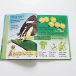 Bộ sách Usborne Beginners Nature Box Set Collection -10 cuốn 9 20210330 145644 01 scaled