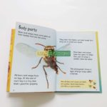 Bộ sách Usborne Beginners Nature Box Set Collection -10 cuốn 10 20210330 145707 01 scaled