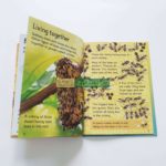 Bộ sách Usborne Beginners Nature Box Set Collection -10 cuốn 11 Usborne Beginners Nature Box Set